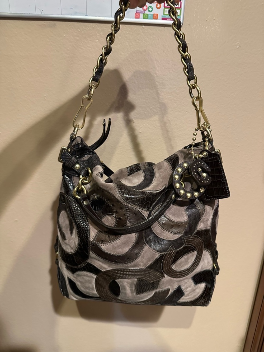 Coach Brooke Inlaid C Leather Signature Brown Shoulder Bag 2009 Rare